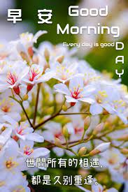 pin by grace jian on 早安問候圖 morning greeting greetings chinese quotes