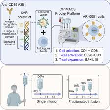 It will teach you everything you need to know about the dat from scratch this guide is a combination of everything i have learned about test taking, the best study materials, and the dat itself. Cart19 Be 01 A Multicenter Trial Of Ari 0001 Cell Therapy In Patients With Cd19 Relapsed Refractory Malignancies Molecular Therapy