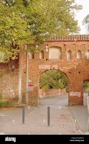 Image result for Dobera