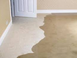 Extract The Liquid From Wet Carpet To Prevent Mold Wet Basement Waterproofing Basement How To Clean Carpet