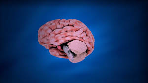 Samenvatting overzicht van de psychologie h1 the science of psychologie psychologie bestudeerd onderwerpen: Aufnahmetest Master Psychologie Aufnahmetest Innsbruck