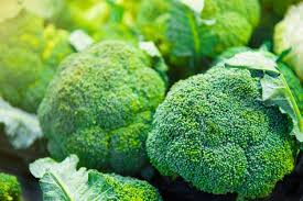 Susu yang baik untuk ibu hamil adalah susu kedelai karena bisa mencukupi kebutuhan akan vitamin d yang baik untuk ibu hamil muda. 10 Sayur Yang Baik Untuk Dikonsumsi Ibu Hamil