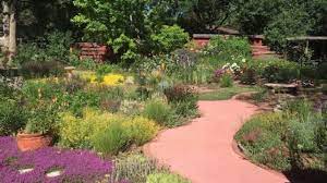 How to plant a garden in colorado. New To Colorado Five Gardening Tips For Success Yourhub
