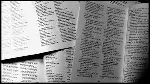 On the references tab, in the index group, click insert index. I Am A Professional Book Indexer The Yawning Chasm