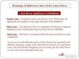Image Result For Lotus Flower Color Chart Lotus Chakra