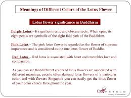 image result for lotus flower color chart lotus chakra