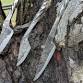 Beginner Bladesmithing: Seahorse Knives
