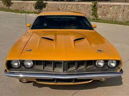 Image result for Citron Yella 1971 Barracuda