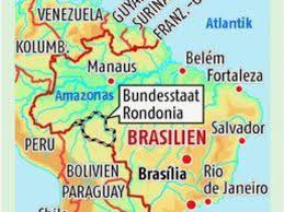 Anteil brasilien gilt als eines der vielfältigsten Lieber Rinderzucht Als Regenwald Politik