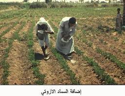 عالم الزراعة الحشائش وطرق مكافحتهـــا في الوادي وكذلك في المناطق الصحراويـــة