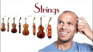 Iridescence (Chris Evan Hass, String Orchestra, Grade 2.5)