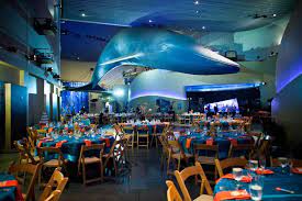 Aquarium Of The Pacific Wedding Long Beach Aquarium Aquarium Wedding Long Beach California