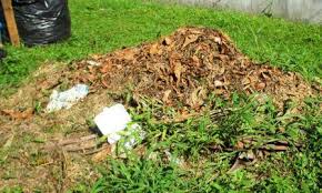 Namun, agar prosesnya lebih cepat harus dicampur dengan air dan nasi aking sebagai dekomposer. Cara Membuat Kompos Seresah Rumput Dan Daun Berbagi Tak Pernah Rugi