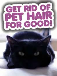 Part of cat ownership is dealing with the aftermath and cleaning up hairballs. Get Rid Of Pet Hair For Good Clean My Space