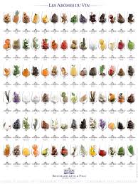 Top 100 Aromas In Wine A To Z Social Vignerons