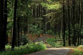 Update informasi per 13 januari 2021. Wisata Gunung Pancar Destinasi Menarik Kota Bogor Vistanusa Com