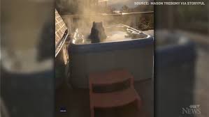 Makes an effort to buy and support other local business as much as possible. Black Bear Takes A Dip In Cottage Hot Tub Ctv News
