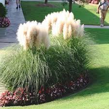 Pin On Gardening Landscaping And Urban Farming