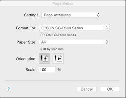 Printing With Your Epson Sc P600 Part 1 Print Workflow In Lightroom Blanca Lanaspa