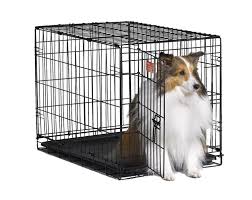 Midwest Icrate Folding Metal Dog Crate All The Best Dog Stuff