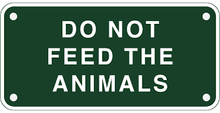 Do not feed the animals. Quotes About Feed The Animals 40 Quotes