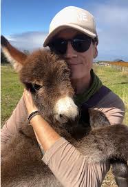 How to Open A Donkey Bike without Rent It