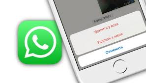 Kak Udalyat Otpravlennye Soobsheniya V Whatsapp Yablyk