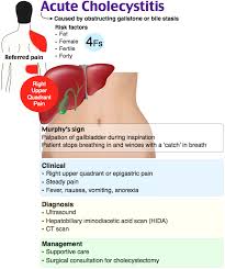 Flashcards Rosh Review Er Quizlet Medical Surgical Nursing Gastrointestinal Nursing Nurse Practitioner School