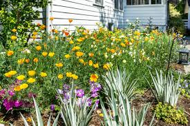 End driveway landscaping ideas consider home logic. 75 Beautiful Driveway Pictures Ideas July 2021 Houzz