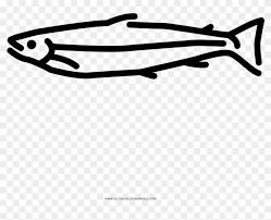 Download and print these salmon coloring pages for free. Salmon Coloring Page With Ultra Pages Line Art Free Transparent Png Clipart Images Download