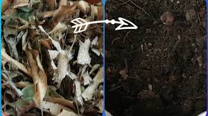 खुद की वेबसाइट तो हम में से कई लोग बनाना चाहते है. 404 Pattiyon Ki Khad Kaise Banaye How To Make Leaf Compost At Home By Abc Of