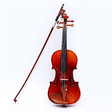 Violino Studentesco per Principianti in Legno di Abete Rosso Violino Serie  (Size : 14) : Amazon.it: Strumenti Musicali