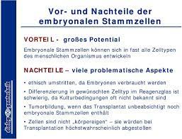 Stammzellen Therapie Der Zukunft Pdf Kostenfreier Download