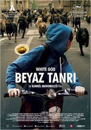 Beyaz Tanri 2015 Turkce Dublaj Hd Izle Film Film Yonetmeni Kopek
