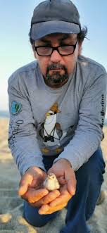 En la recta final de la temporada de anidación del Gallito Marino