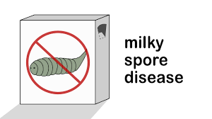 5 ways to remove moles from your yard relocating moles effectively. 3 Ways To Get Rid Of Moles In Your Garden Wikihow