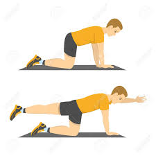 Man Doing Bird Dog Exercise Exercise For Balance Back And Abs Royalty Free Cliparts Vectors And Stock Illustration Image 123941956 911 x 1024 jpeg 97 кб.