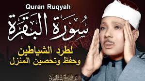 حسين الصادق بتمناها