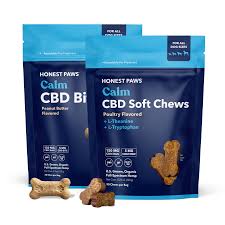 Calm CBD Bites Bundle | Honest Paws
