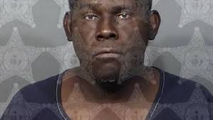 Pair stole credit card, gun from Melbourne senior citizen