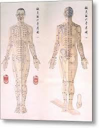 Chinese Chart Of Acupuncture Points 1 Metal Print
