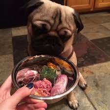 Perfectly Rawsome S Biologically Appropriate Raw Food Barf Guide Provides Required Ratios To Achieve Nutrient Balance Feeding Me Raw Pet Food Raw Feeding For Dogs Raw Food Recipes