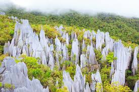 This big island on the west coast of malaysia is one that the country is proud of, and for valid reasons. 12 Best Places To Visit In Malaysia Planetware