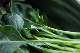 Check spelling or type a new query. How To Freeze Greens Without Blanching Foods Guy