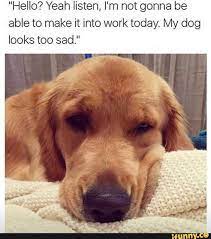 Pin On Awwww