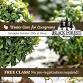 FREE CLASS: Winter Care for Evergreens event image