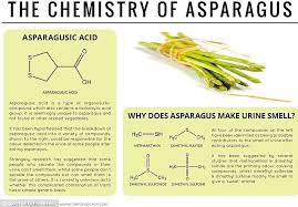 Why Asparagus Makes Your Urine Smell And Onions Make Your Cry Food Science Food Chemistry Asparagus