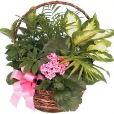 Are there any other hidden charges or fees when ordering flowers in canada? Canada Send To
