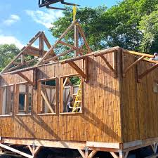 Image result for bamboo structures