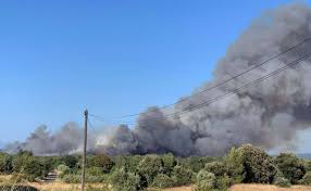 Un feu de forêt a déjà détruit plusieurs centaines d'hectares à gonfaron. O4rovg4t984v2m